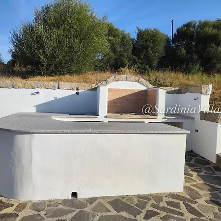 Lilium * קניגיונה